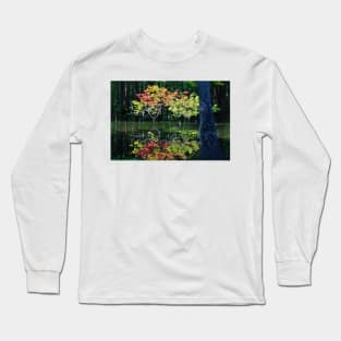 Autumn In The Swamp Long Sleeve T-Shirt